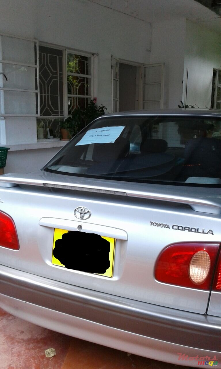 1998' Toyota Corolla photo #7