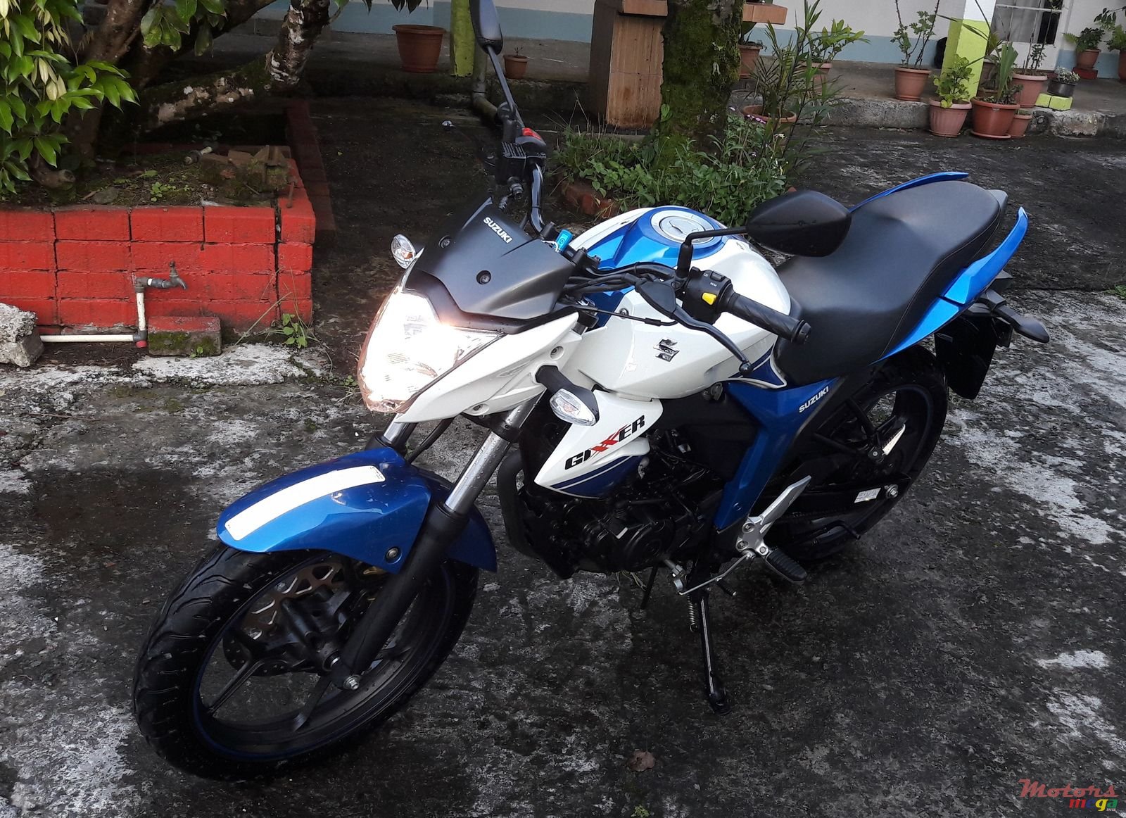 2015' Suzuki photo #1