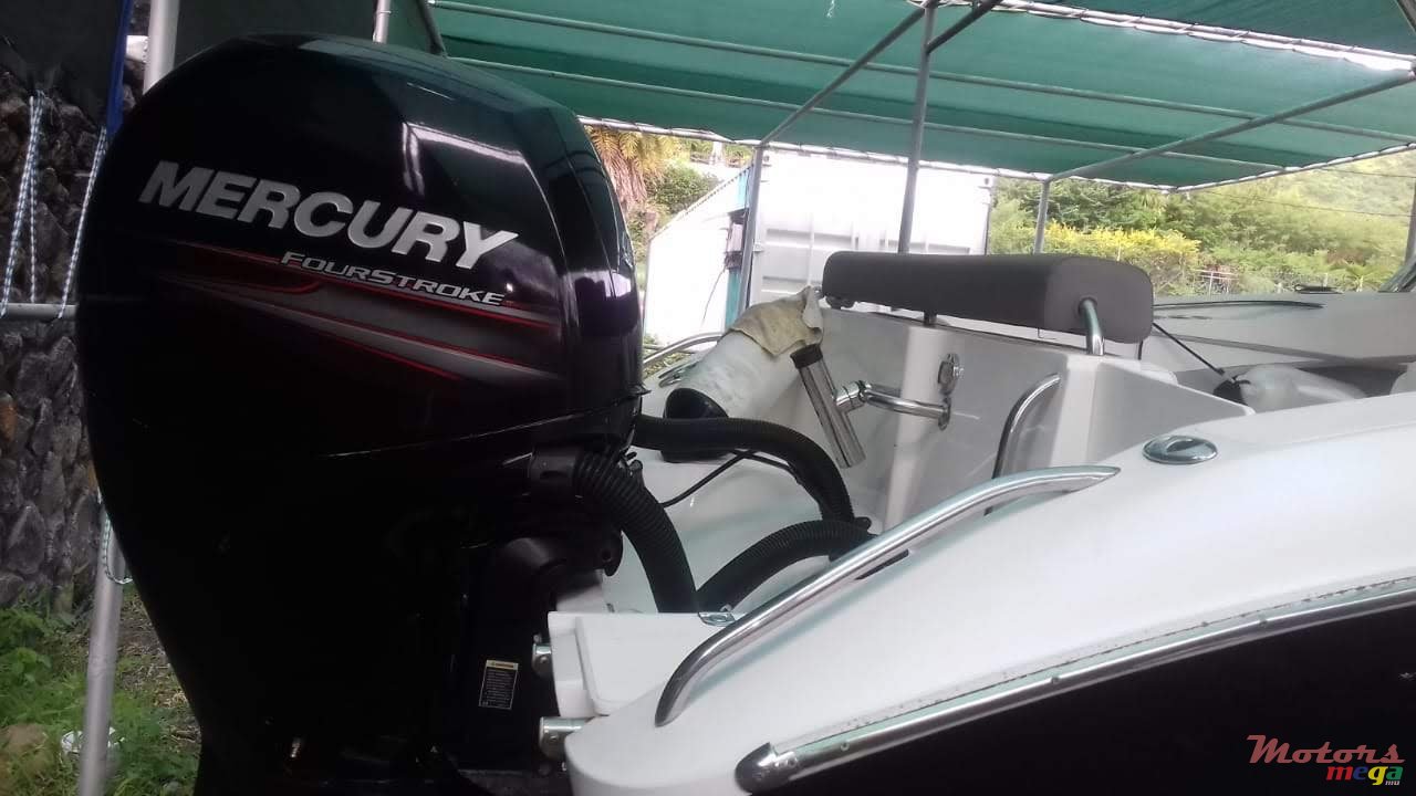 2017' Cobra photo #3