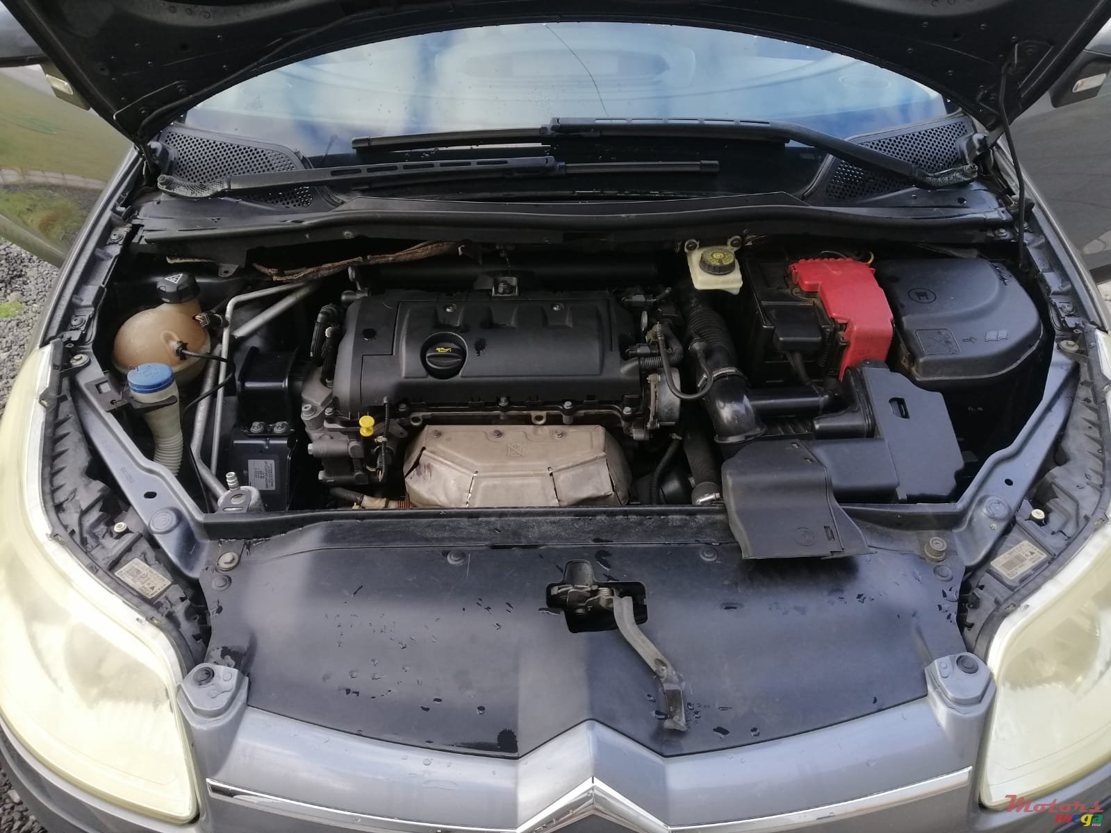 2009' Citroen C4 photo #1