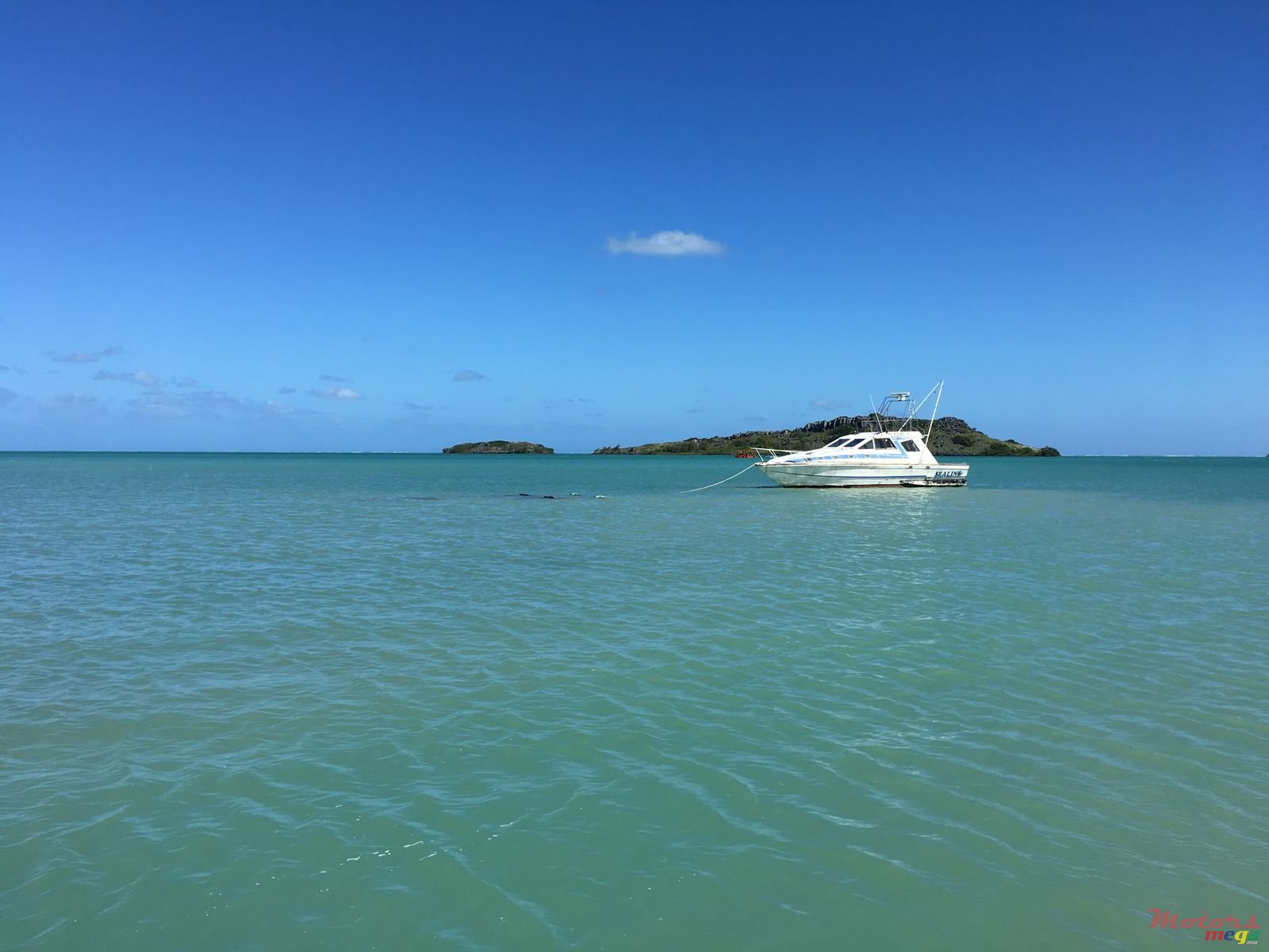 2001' Tremlett photo #1