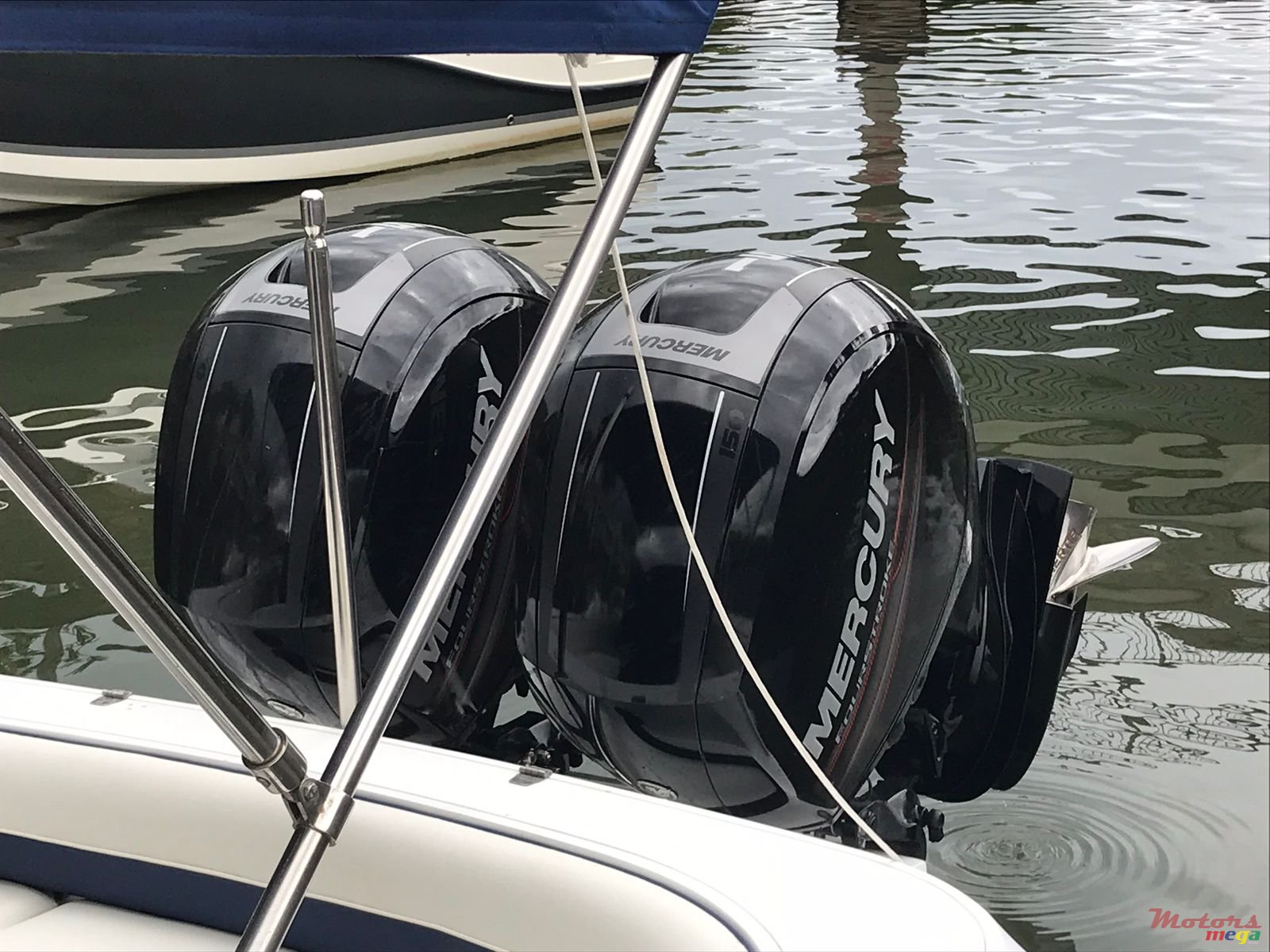 2009' Cobra photo #2