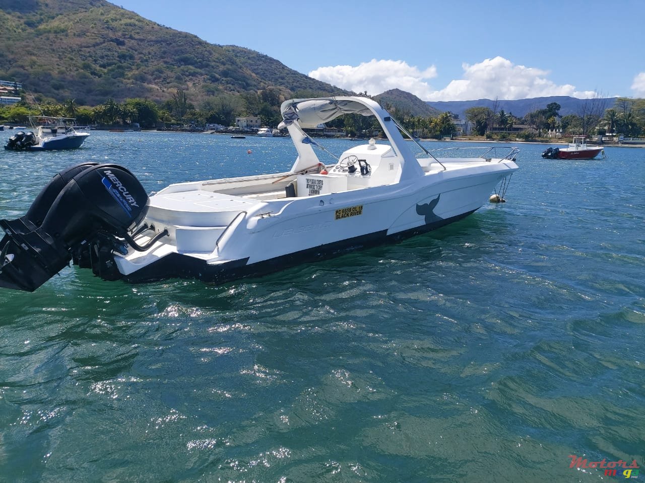 2009' Legend photo #3