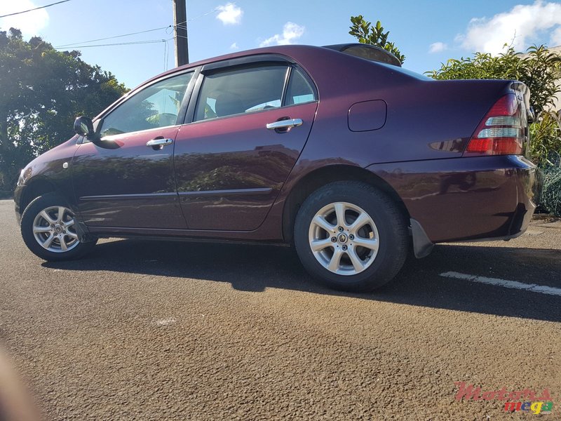 2003' Toyota Corolla photo #1