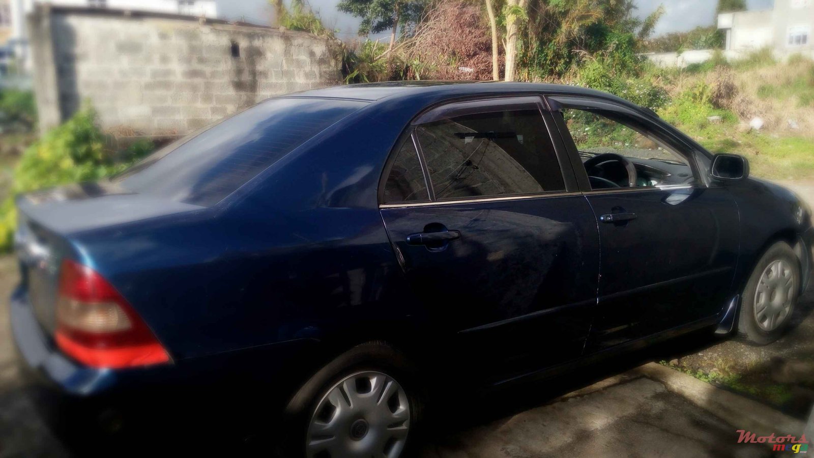 2001' Toyota Corolla photo #1