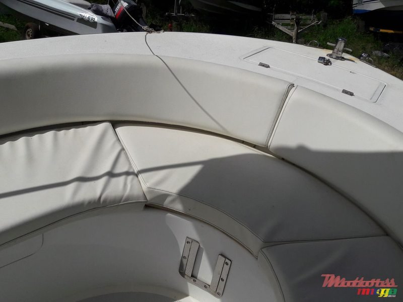 2010' Pro Sport photo #3