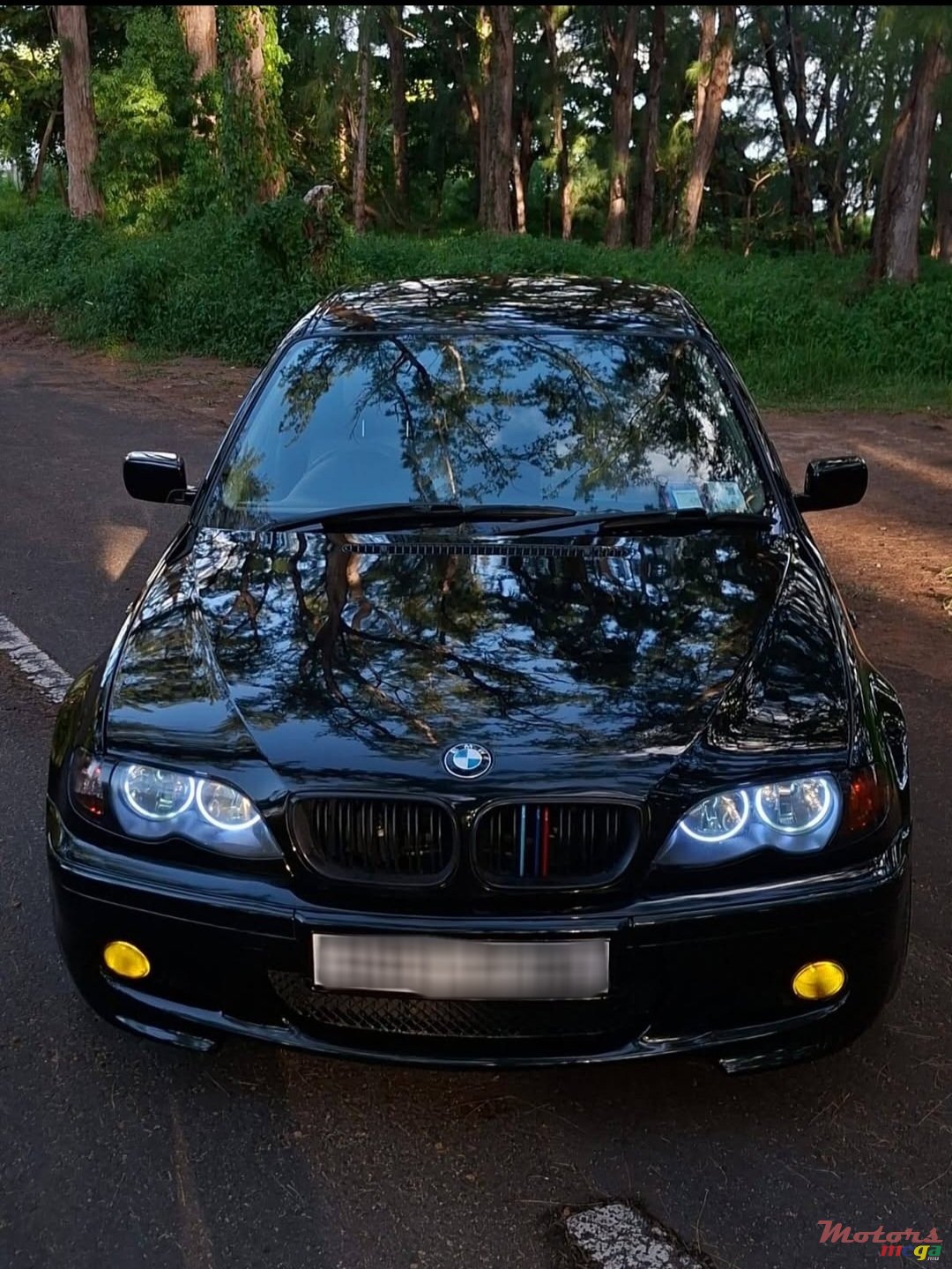 2004' BMW 3 Series E46 2000-2005 E46 photo #2