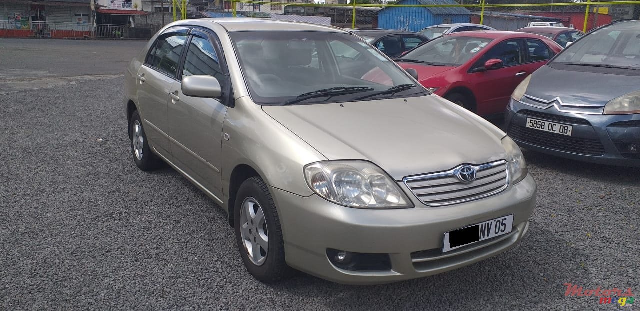 2005' Toyota Corolla NZE photo #1