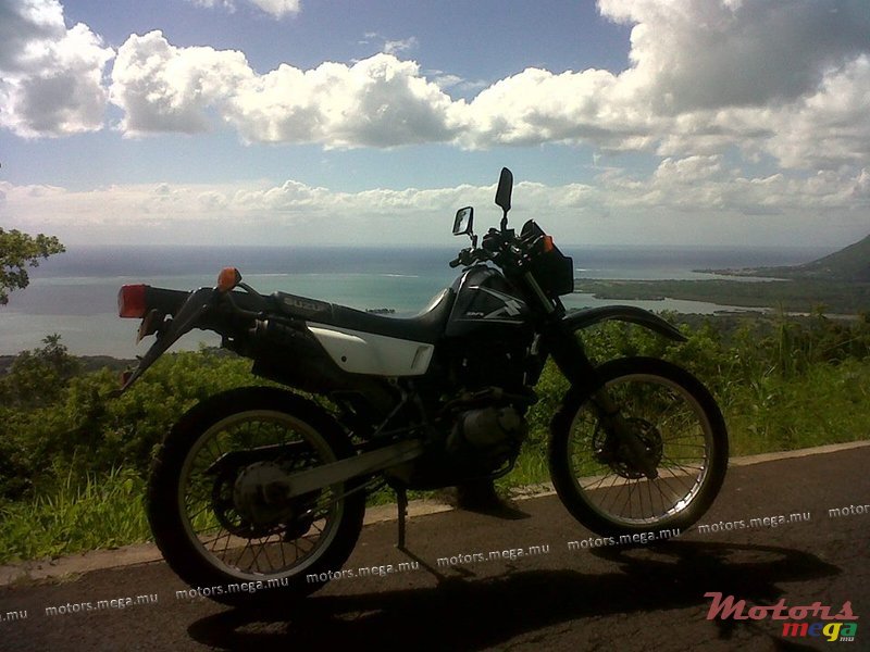 2008' Suzuki photo #1