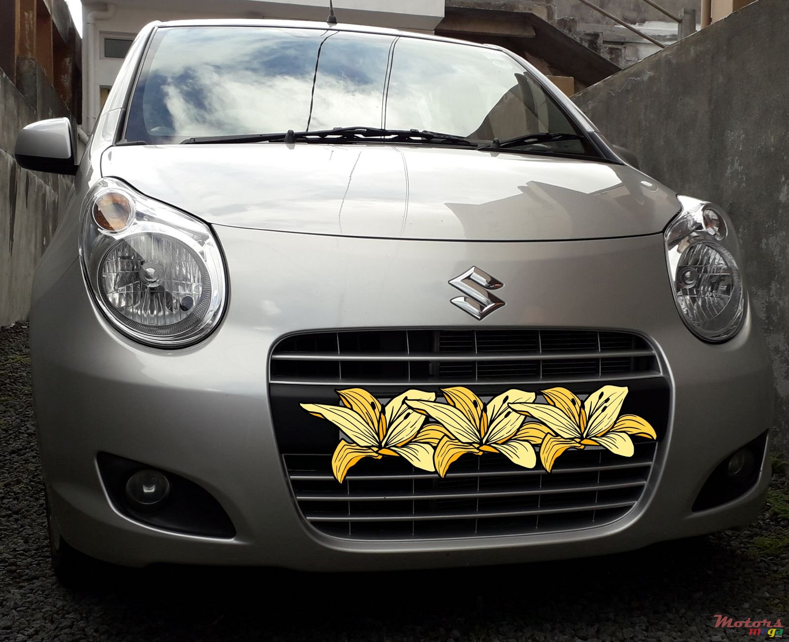 2014' Suzuki Celerio photo #1