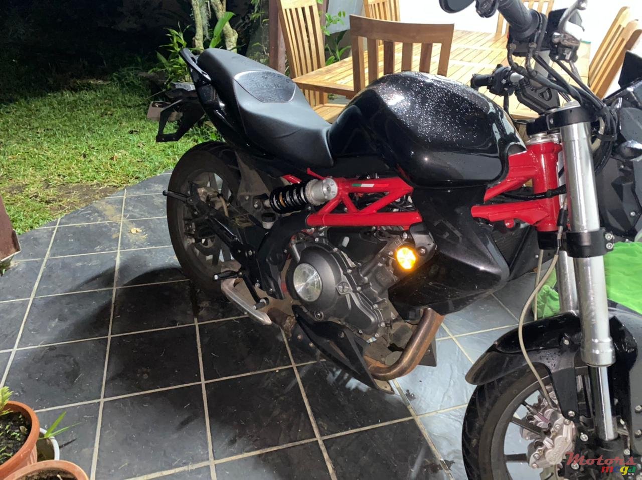 2019' Benelli photo #2