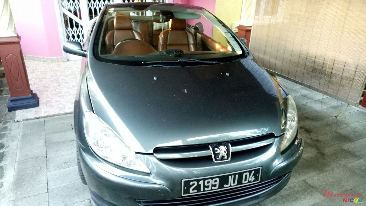 2004' Peugeot 307 photo #6