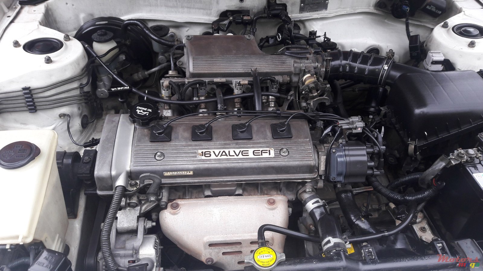 1999' Toyota Corolla photo #4