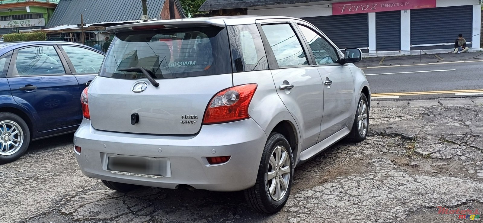 2010' GWM Florid photo #4