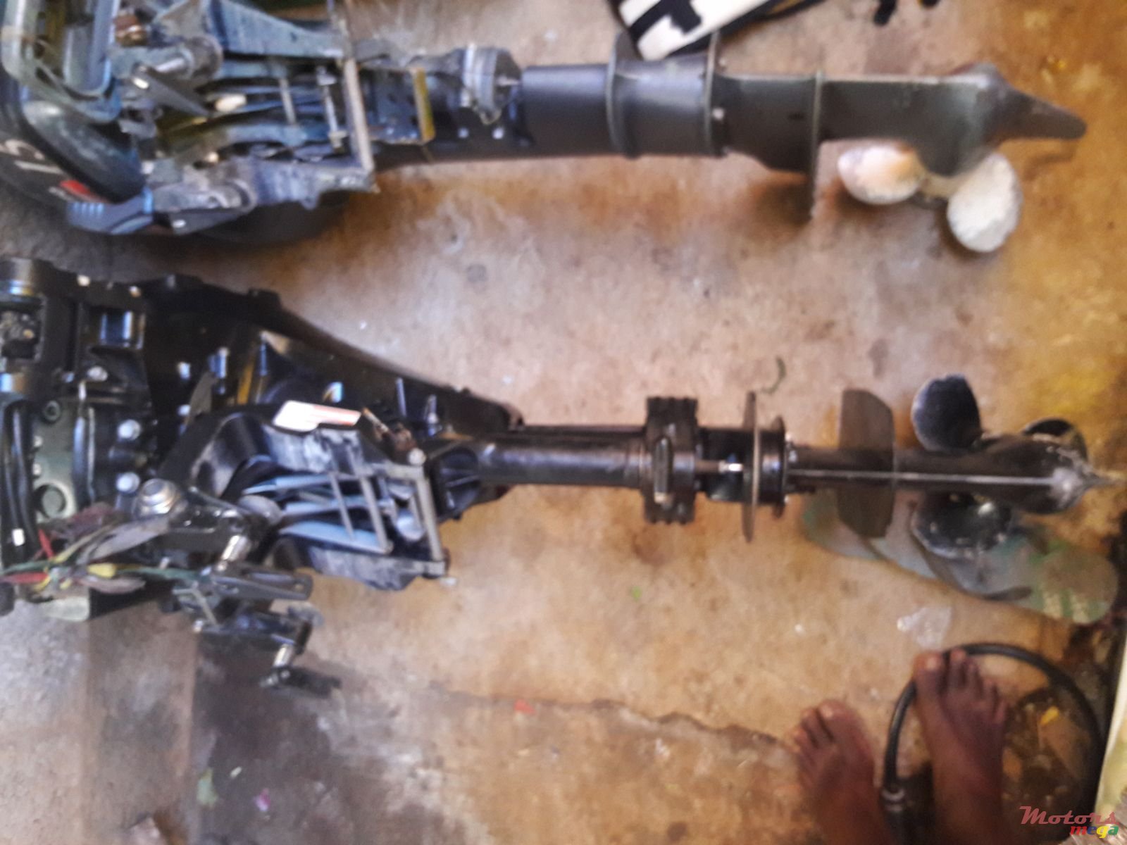 2014' Suzuki photo #3