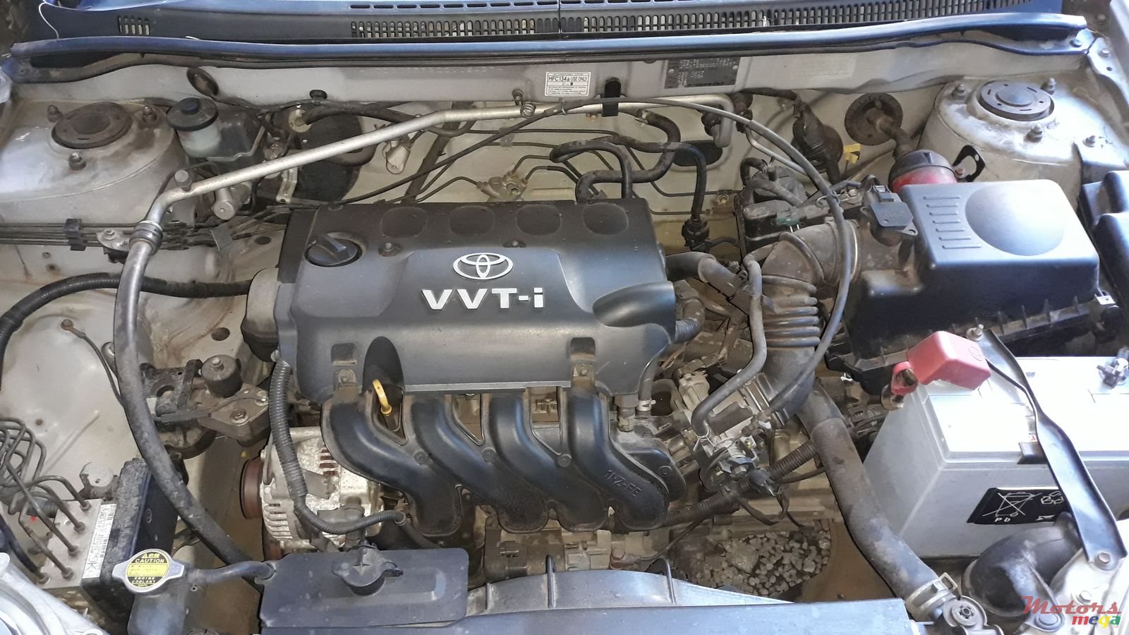 2002' Toyota Corolla photo #4