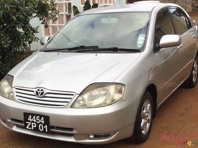 2001' Toyota Corolla NZE photo #1