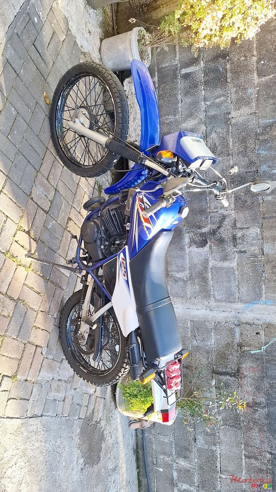 2008' Yamaha photo #4