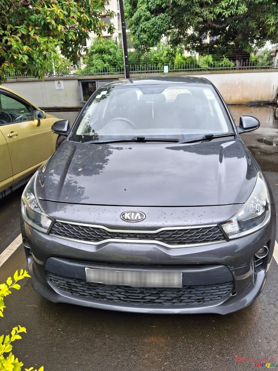 2020' Kia Rio photo #2