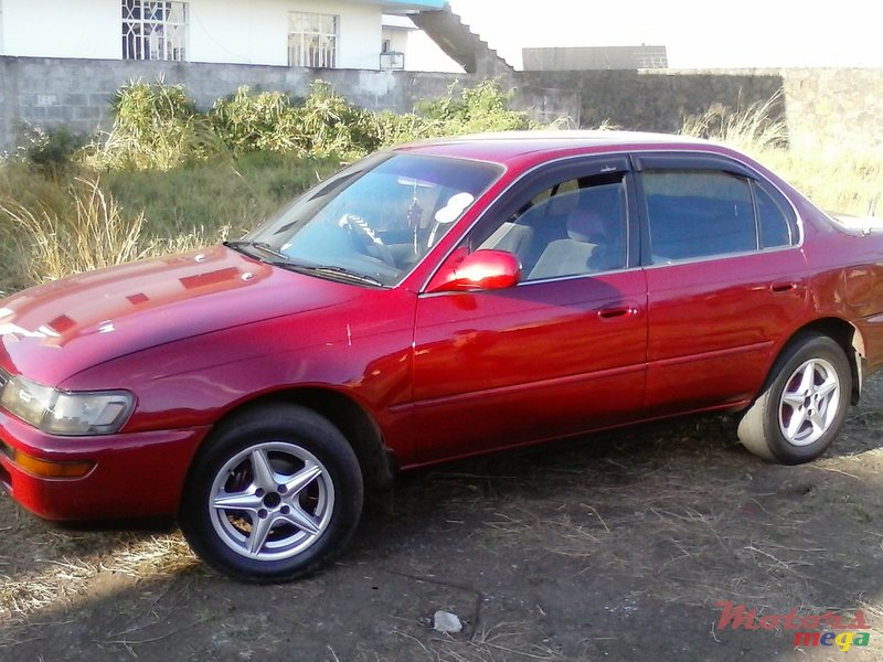 1992' Toyota Corolla photo #1