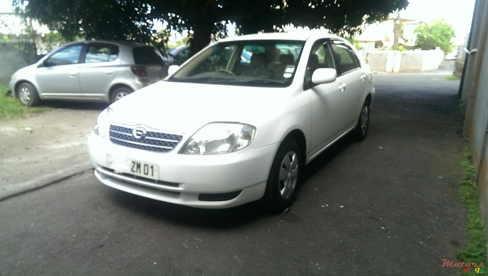 2001' Toyota Corolla photo #1