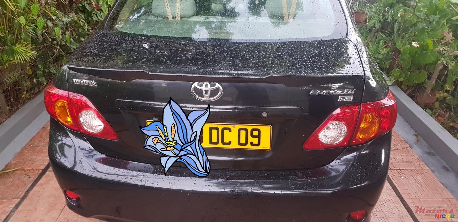 2009' Toyota Corolla photo #5