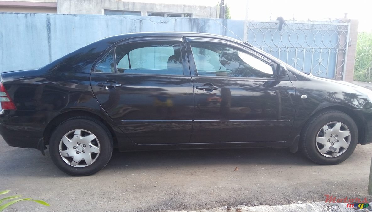 2003' Toyota Corolla photo #2