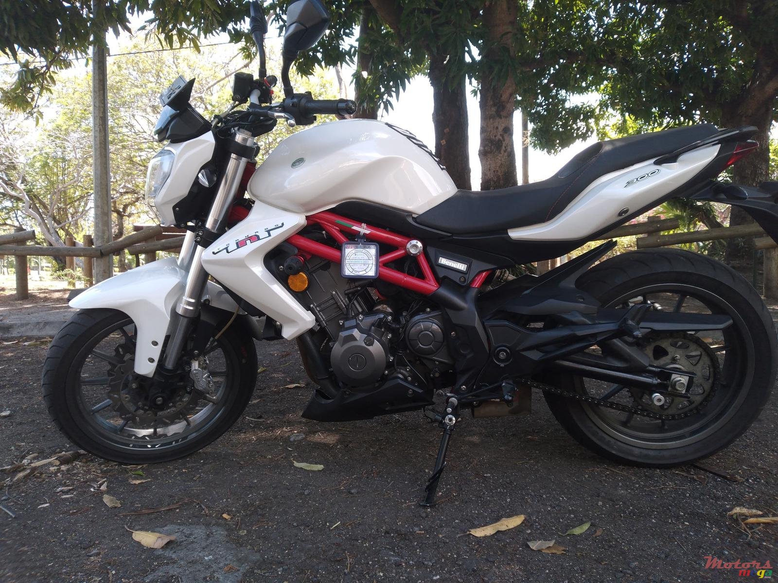 2019' Benelli TNT 300 photo #1