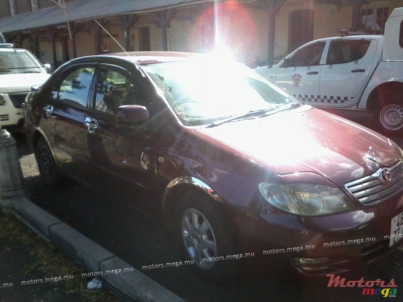 2003' Toyota Corolla photo #1