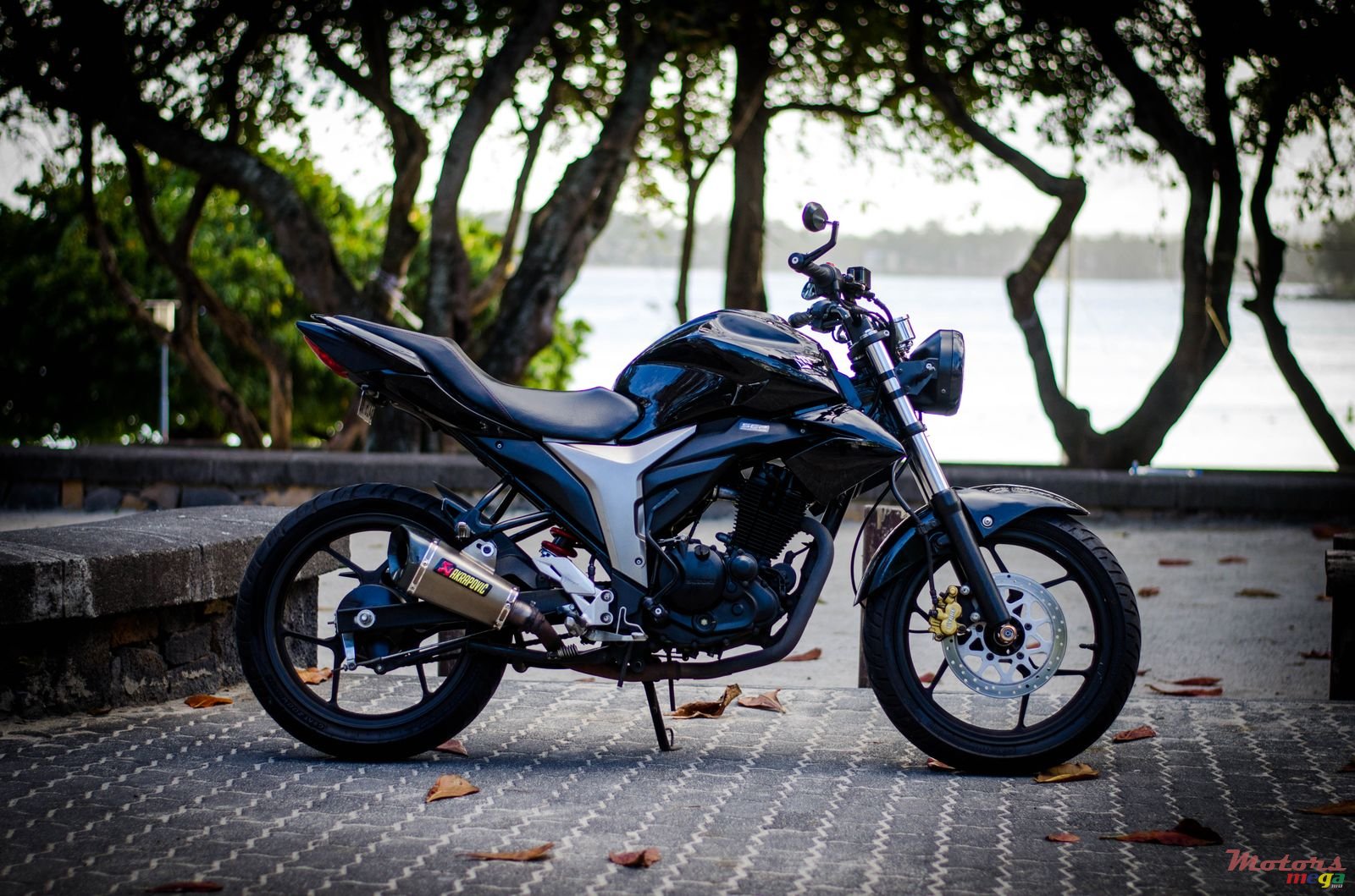 2017' Suzuki Gixxer photo #1