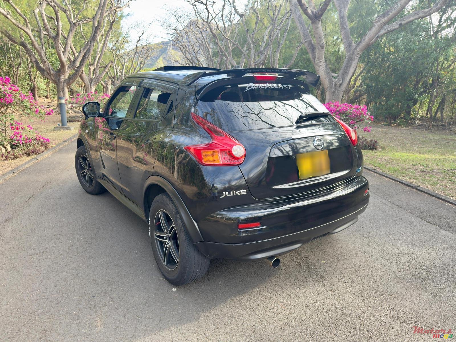 2013' Nissan Juke photo #2