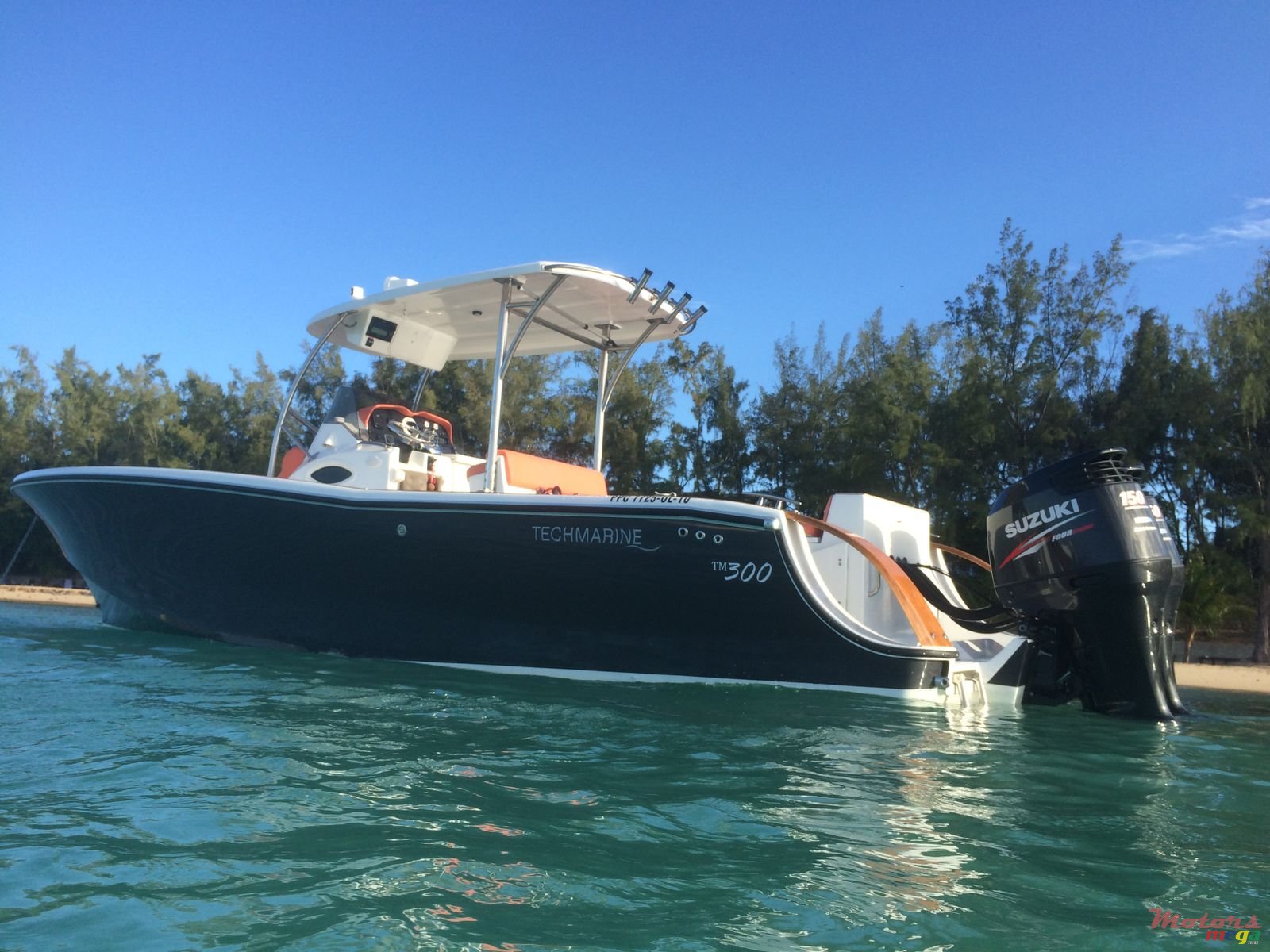 2016' Tema marine photo #1