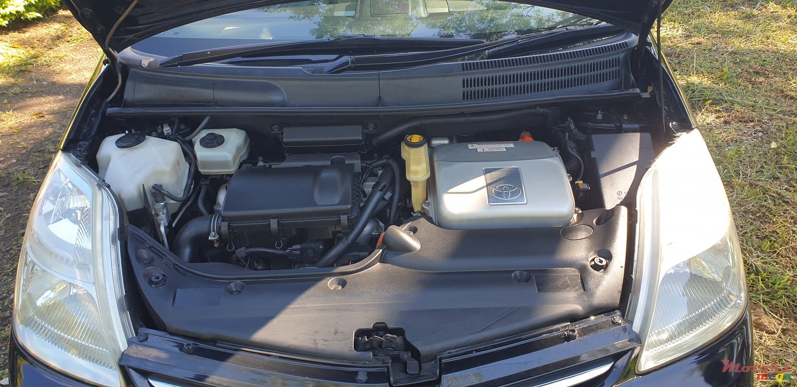 2009' Toyota Prius photo #5