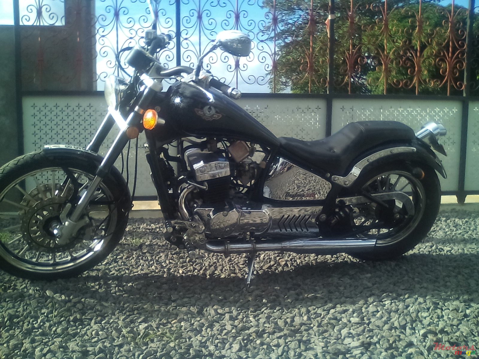 2010' Regal-Raptor photo #1