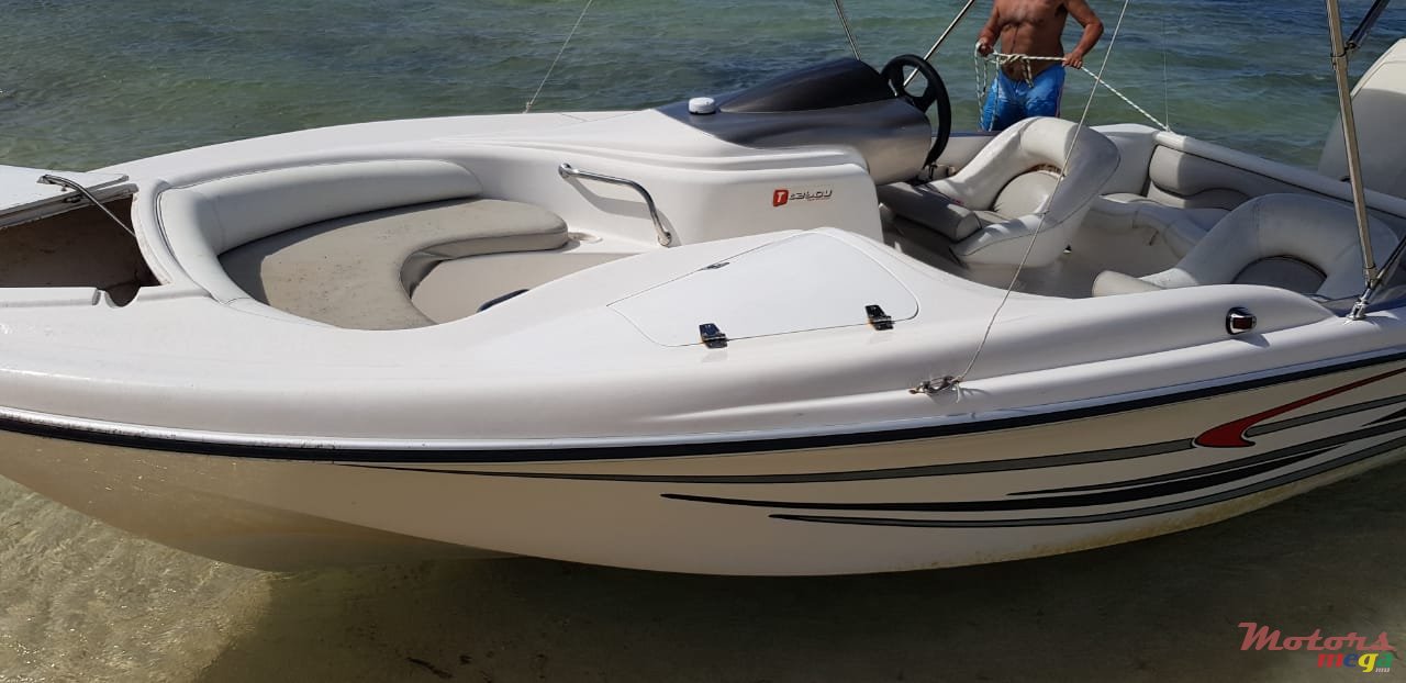 2008' Cobra photo #7