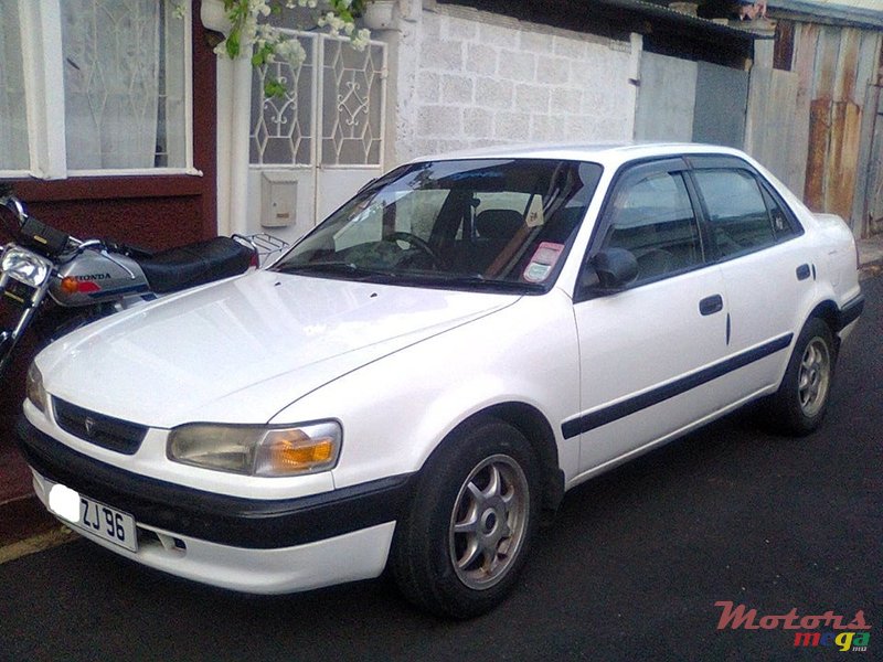 1996' Toyota Corolla photo #1