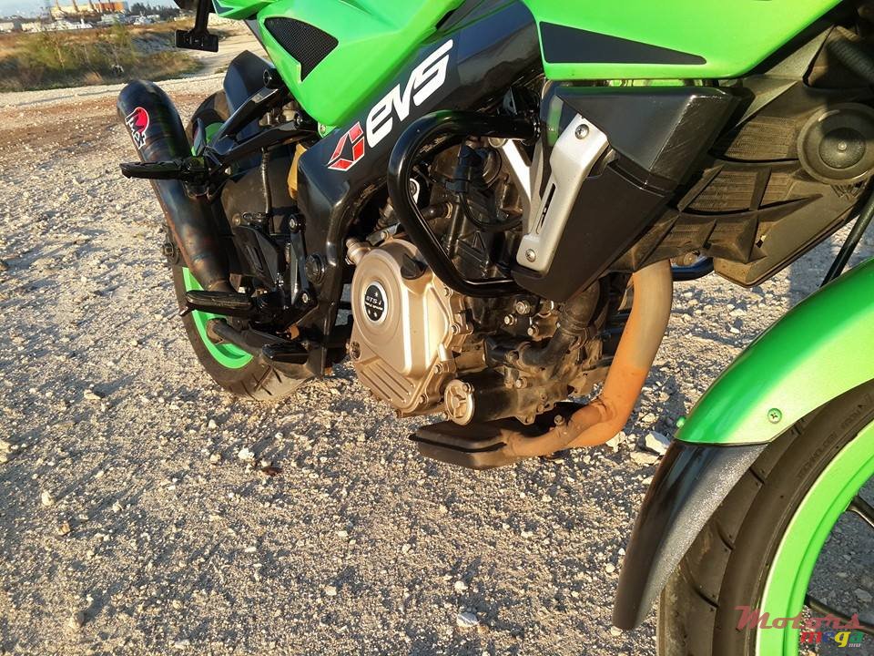 2013' Bajaj Pulsar photo #6