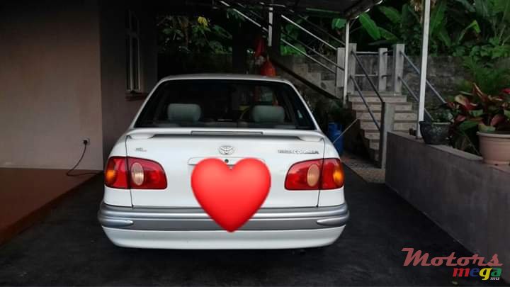 1998' Toyota Corolla photo #2