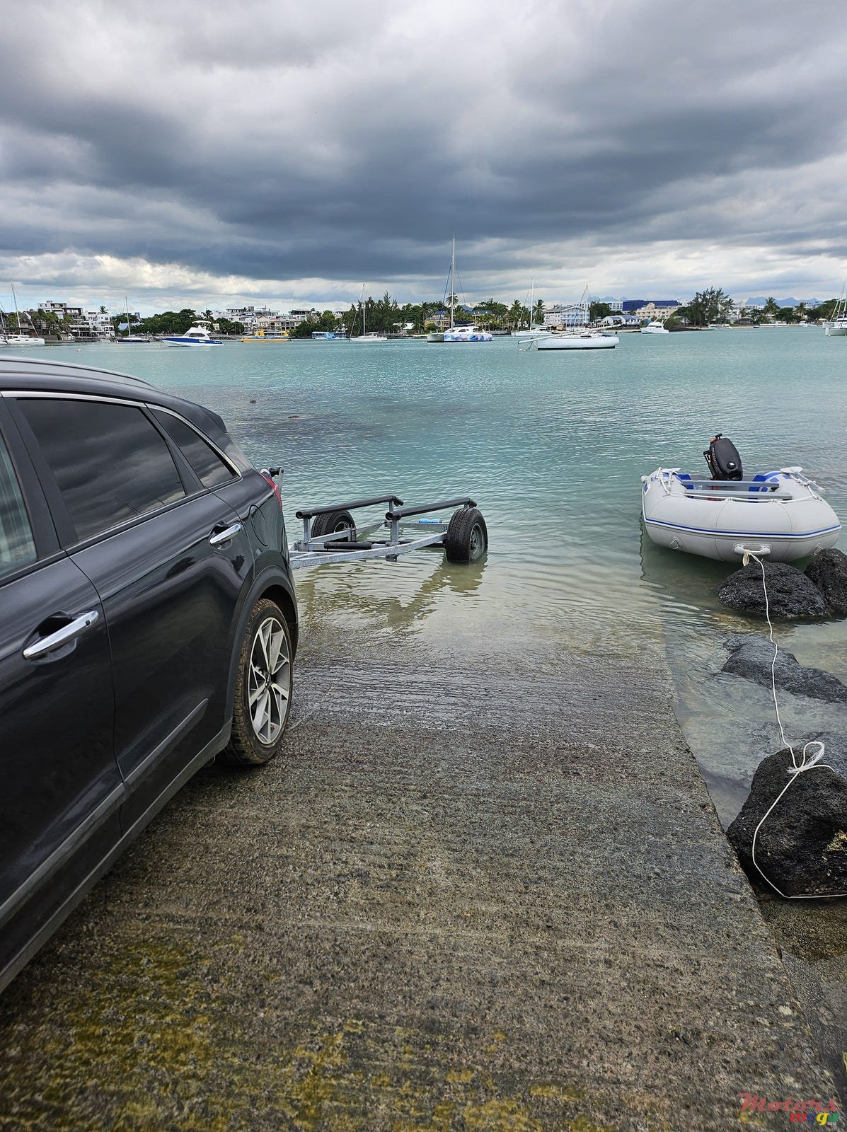 2020' C-marine TRANS photo #6