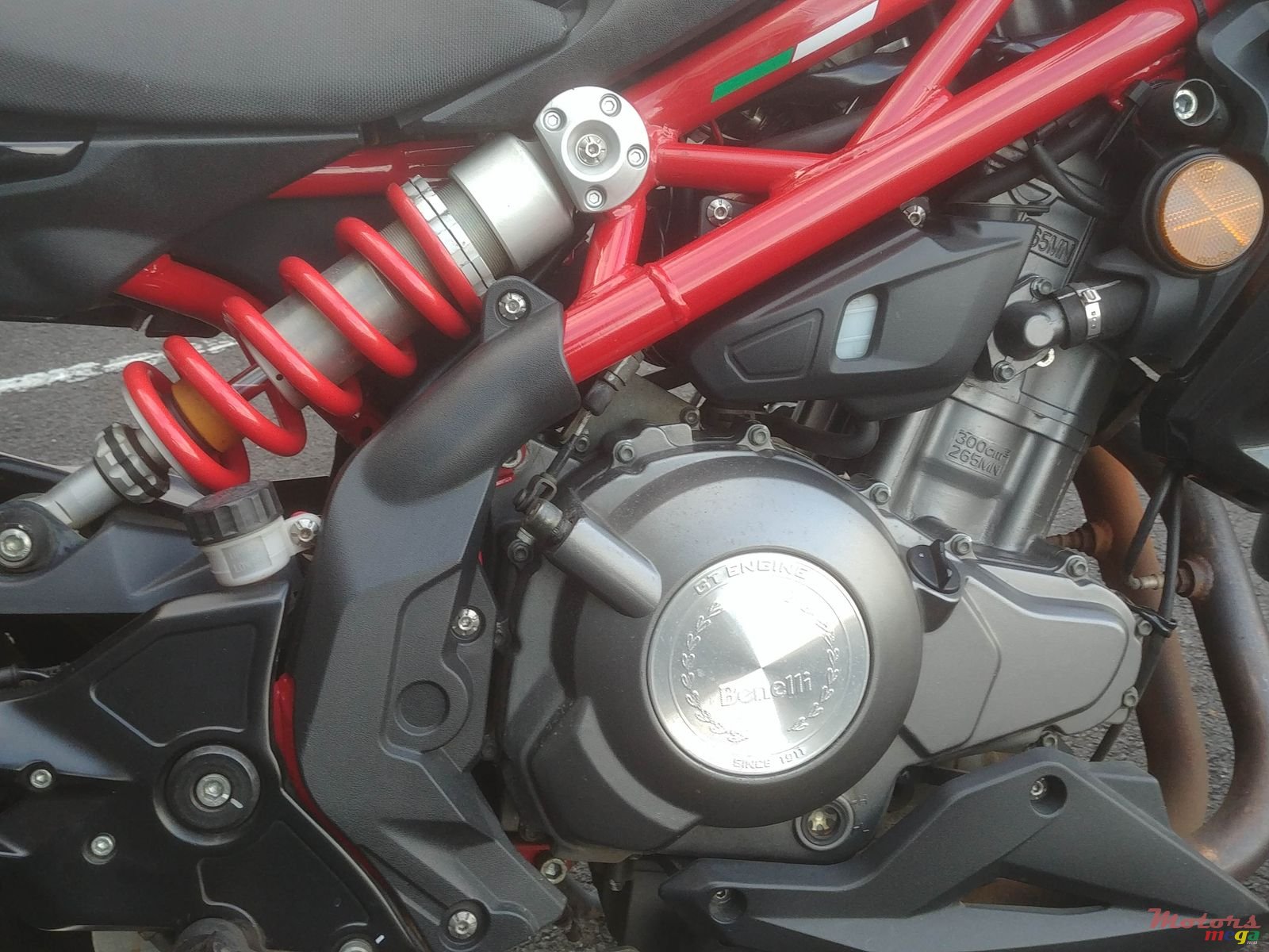 2016' Benelli TNT 300 photo #7