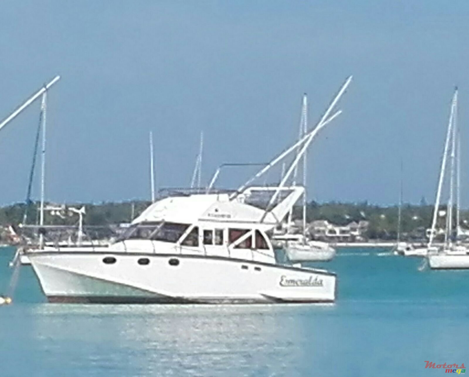 2002' Flipper photo #1