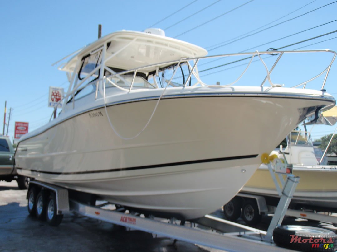 2009' Sea Triton 301XD photo #1