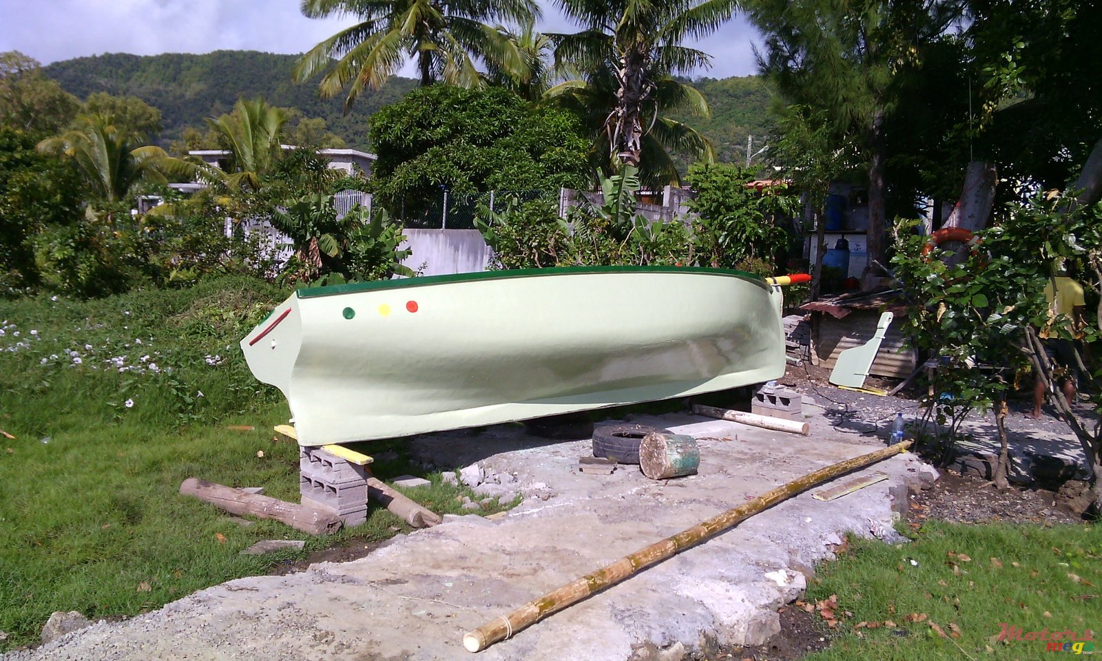 2013' Bark   photo #2