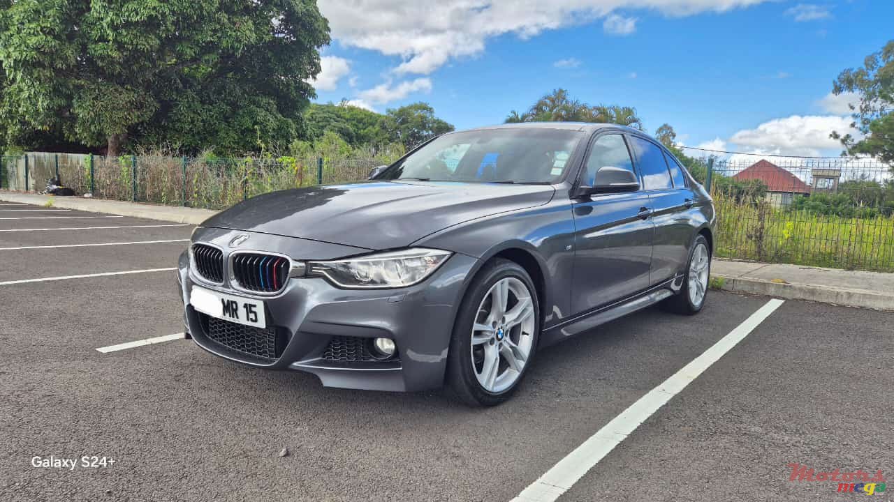 2015' BMW 316 MPACK photo #2