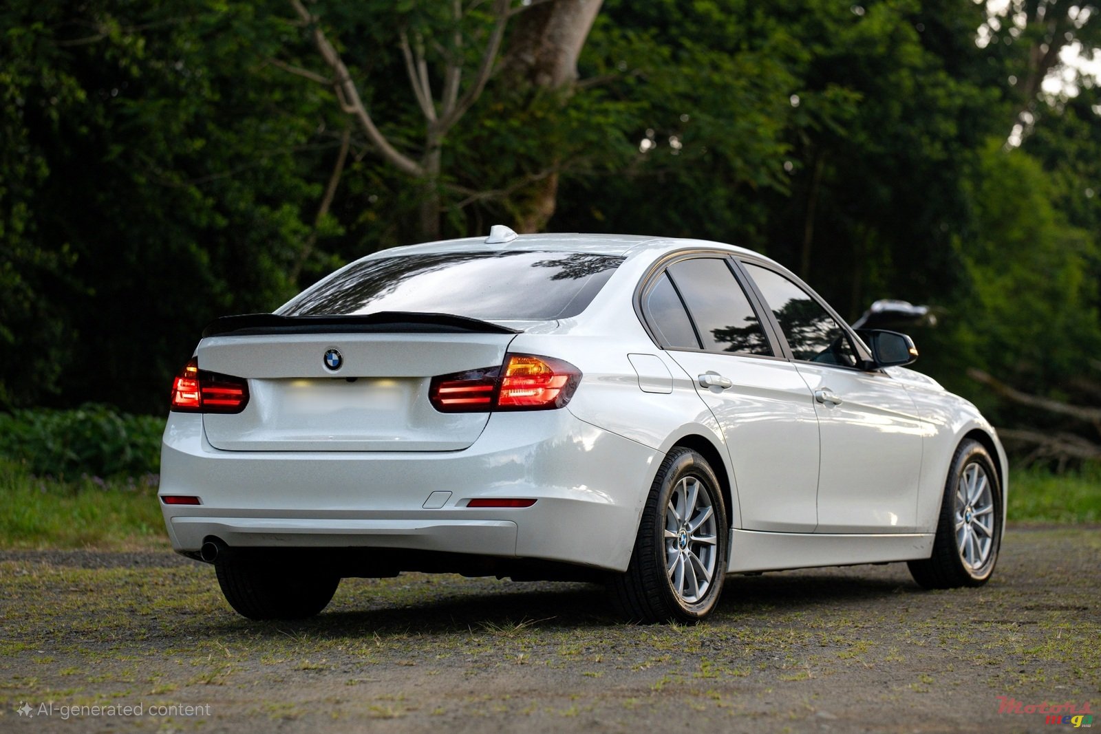 2013' BMW 316 photo #6