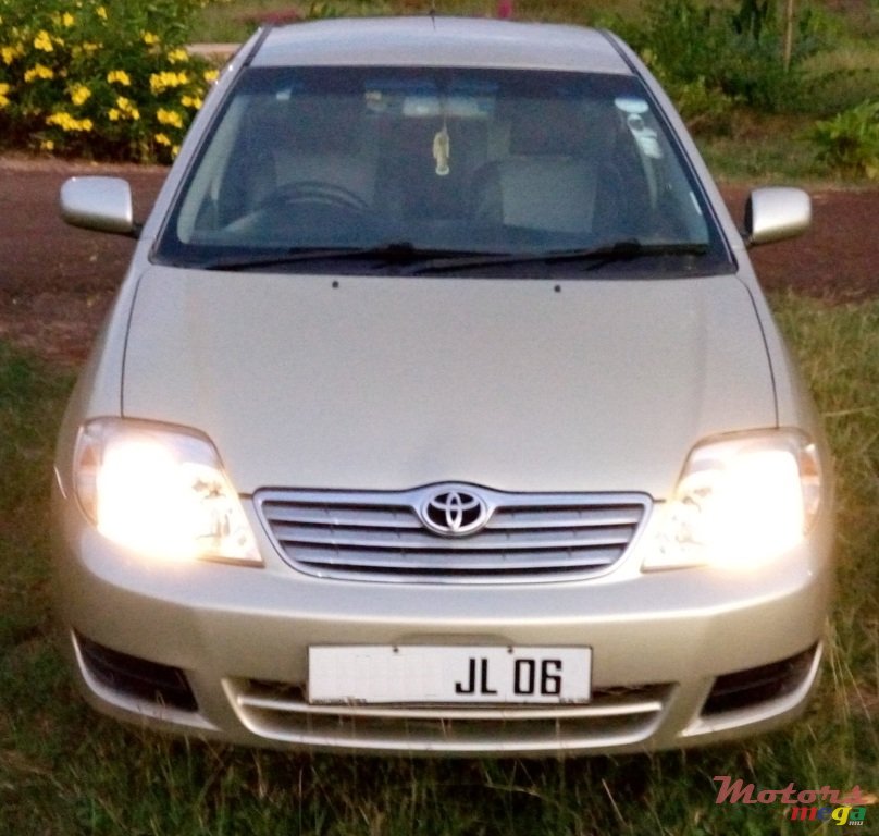 2006' Toyota Corolla NZE photo #1