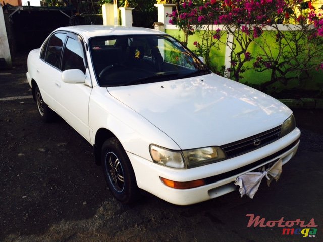 1992' Toyota Corolla photo #1