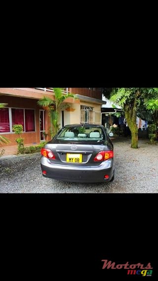 2008' Toyota Corolla GLI photo #3