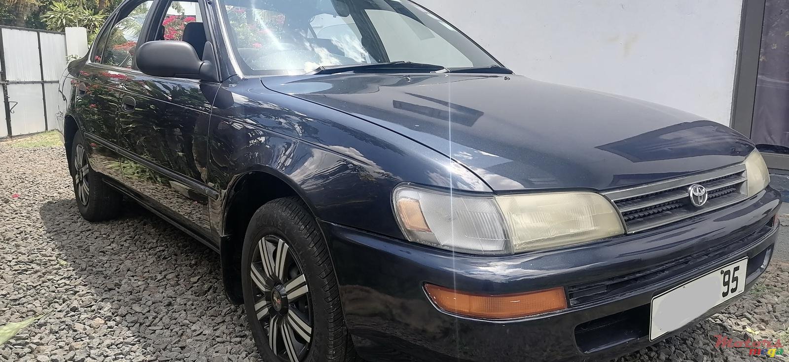 1995' Toyota Corolla photo #3