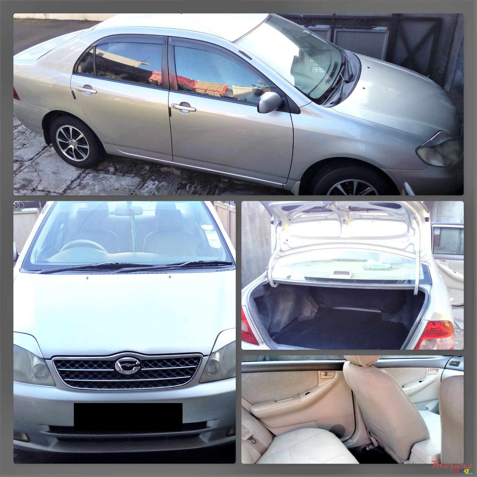 2001' Toyota Corolla NZE photo #1